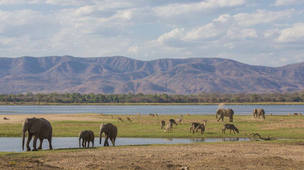 Our Top 5 Things To See And Do In Zimbabwe