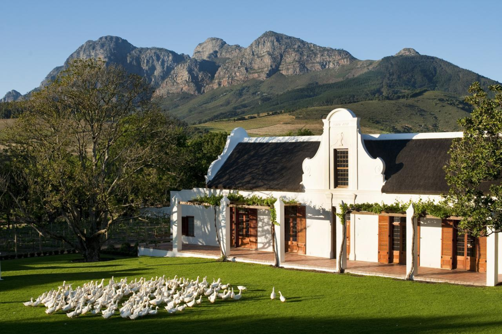 The Best Places To Stay In The Cape Winelands