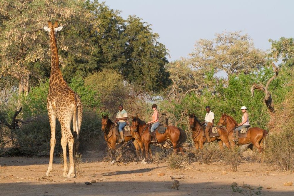 Botswana's Hidden Gems  Africa Travel