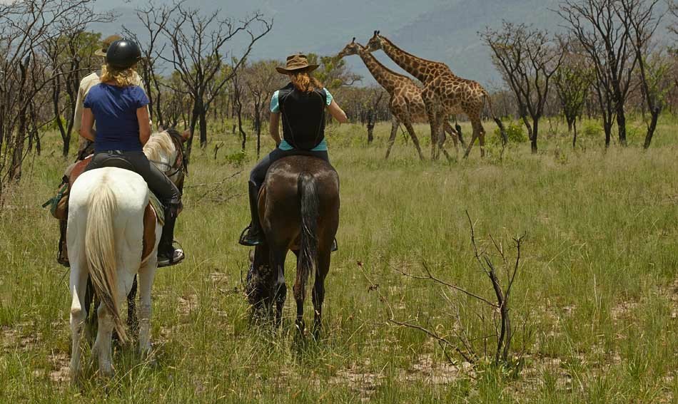 Top 6 Horseback Safaris in Africa Africa Travel
